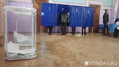 В Курганской области на «деревенские» выборы заявились почти две сотни человек - newdaynews.ru - Россия - Курганская обл.