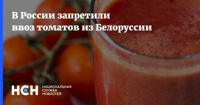 В России запретили ввоз томатов из Белоруссии - nsn.fm - Россия - Белоруссия