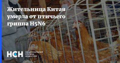Жительница Китая умерла от птичьего гриппа H5N6 - nsn.fm - Китай - Гонконг