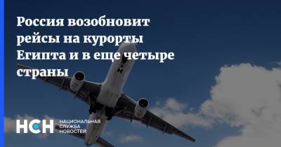 Россия возобновит рейсы на курорты Египта и в еще четыре страны - nsn.fm - Россия - Москва - Сирия - Египет - Кишинев - Молдавия - Бахрейн - Дамаск - с. 9 Августа