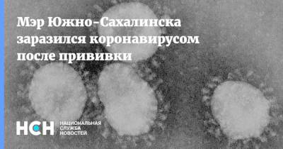 Сергей Надсадин - Мэр Южно-Сахалинска заразился коронавирусом после прививки - nsn.fm - Южно-Сахалинск