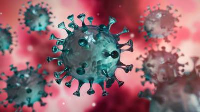 Немецкие ученые нашли слабое место в геноме коронавируса - mir24.tv - Германия