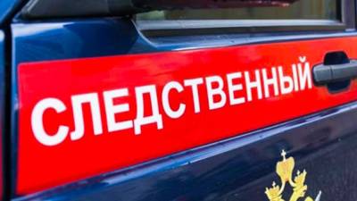 СК рассказал о влиянии пандемии на рост подростковой преступности - inforeactor.ru