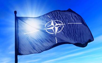 НАТО планирует пригласить Узбекистан на командно-штабные учения, организуемые EADRCC - podrobno.uz - Узбекистан - Ташкент