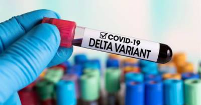На Львівщині підтвердили перші випадки штаму коронавірусу "Дельта" - 24tv.ua