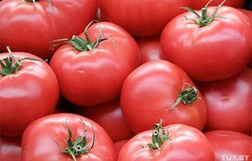 Россельхознадзор временно запретил ввозить помидоры белорусского экспортера - charter97.org - Россия - Белоруссия
