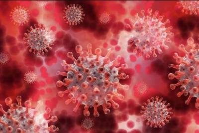 В Гвиане сообщили о 60% зараженных среди привитых от коронавируса - mk.ru - Франция - Французская Гвиана