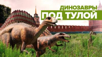Динозавры «притулились»: недостроенный парк аттракционов под Тулой стал популярен в интернете - russian.rt.com - Тула - Тульская обл.