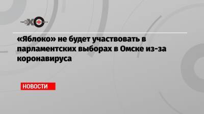 «Яблоко» не будет участвовать в парламентских выборах в Омске из-за коронавируса - echo.msk.ru - Омск