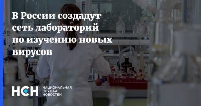 Татьяна Голикова - В России создадут сеть лабораторий по изучению новых вирусов - nsn.fm - Россия