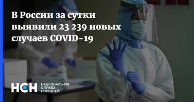 В России за сутки выявили 23 239 новых случаев COVID-19 - nsn.fm - Россия