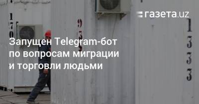 Запущен Telegram-бот по вопросам миграции и торговли людьми - gazeta.uz - Узбекистан