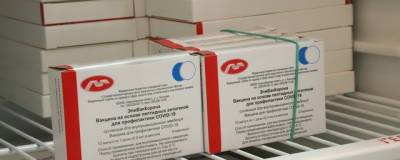 В Брянскую область поступила партия вакцины «ЭпиВакКорона» - runews24.ru - Брянская обл.