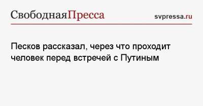 Владимир Путин - Дмитрий Песков - Песков рассказал, через что проходит человек перед встречей с Путиным - svpressa.ru