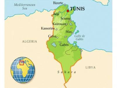 Саид Каис - Граждане РФ, находящиеся в Тунисе, не обращались к дипломатам за помощью - rosbalt.ru - Россия - Тунис - Тунисская Республика