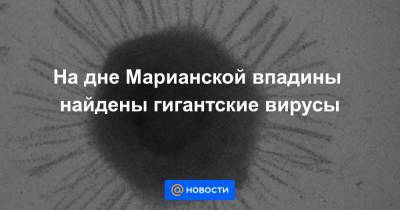 На дне Марианской впадины найдены гигантские вирусы - news.mail.ru - Китай - Шанхай
