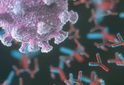 Ученые назвали срок сохранения антител к коронавирусу - facenews.ua - Украина - Финляндия