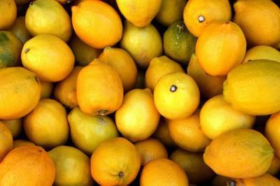 В России резко снизились цены на лимоны - abnews.ru - Россия