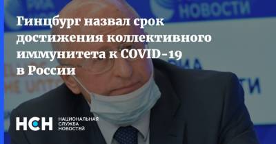 Александр Гинцбург - Гинцбург назвал срок достижения коллективного иммунитета к COVID-19 в России - nsn.fm - Россия