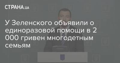 Сергей Никифоров - У Зеленского объявили о единоразовой помощи в 2 000 гривен многодетным семьям - strana.ua - Украина
