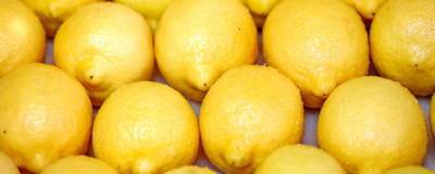 Лимоны стали самым подешевевшим продуктом за год - runews24.ru