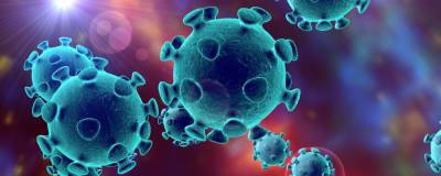 Рошель Валенски - В США опасаются, что новые штаммы коронавируса сделают вакцины неэффективными - runews24.ru - Сша