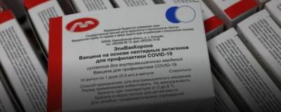 Владимир Путин - Активисты потребовали от властей России провести проверку вакцины «ЭпиВакКорона» - runews24.ru - Россия