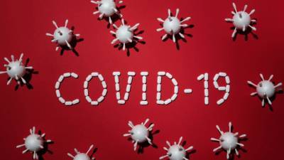 За минувшие сутки в Ленобласти зарегистрировали 242 новых случая COVID-19 - piter.tv - Ленобласть обл.
