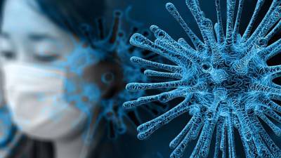 Китайские ученые обнаружили в Марианской впадине гигантские вирусы - newdaynews.ru - Шанхай
