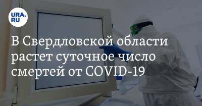 В Свердловской области растет суточное число смертей от COVID-19 - ura.news - Свердловская обл.