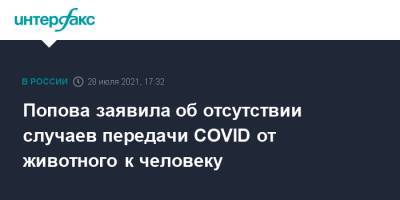 Анна Попова - Попова заявила об отсутствии случаев передачи COVID от животного к человеку - interfax.ru - Москва