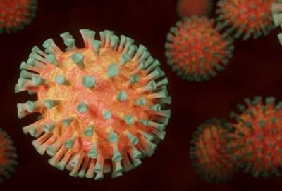 ВОЗ оценила опасность выявленного в России штамма коронавируса - online47.ru - Россия