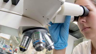 Ученые в Германии разработали эффективное средство против коронавируса - iz.ru - Германия - Израиль
