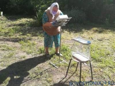 Верните пеньки - novostidnya24.ru - Россия