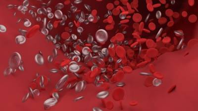 Биофизики обнаружили изменения в клетках крови у перенесших COVID-19 - inforeactor.ru