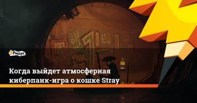 Когда выйдет атмосферная киберпанк-игра о кошке Stray - ridus.ru