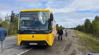 В ЯНАО водителя автобуса убило монтировкой – она вылетела из другой машины и пробила лобовое стекло - newdaynews.ru - округ Янао - Ноябрьск