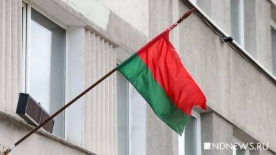 В Белоруссии возбуждены 4,7 тыс. дел после массовых акций 2020 года - newdaynews.ru - Белоруссия