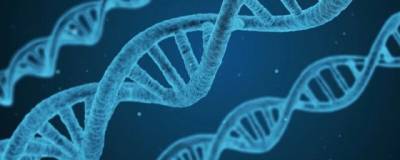 Ученые: ковид и его фрагменты в вакцинах не могут менять ДНК человека - runews24.ru - Франция - Англия - Австралия - Испания