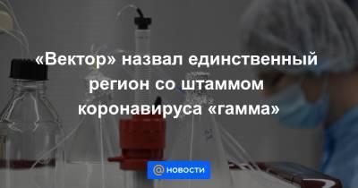 «Вектор» назвал единственный регион со штаммом коронавируса «гамма» - news.mail.ru - Россия