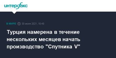 Александр Новак - Турция намерена в течение нескольких месяцев начать производство "Спутника V" - interfax.ru - Россия - Москва - Турция