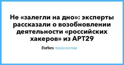 Не «залегли на дно»: эксперты рассказали о возобновлении деятельности «российских хакеров» из APT29 - forbes.ru