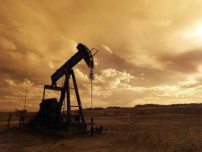 Арсений Дадашев - Аналитик АУФИ: Росту цен на нефть препятствует «дельта» - rosbalt.ru