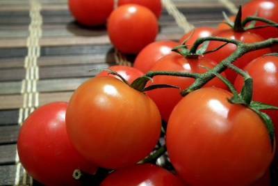 Россельхознадзор запретил ввезти в Петербург из Беларуси 117 тонн зараженных томатов - abnews.ru - Россия - Санкт-Петербург - Белоруссия