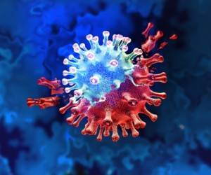 Ученые выяснили, чем опасен новый штамм коронавируса «лямбда» из Бразилии - goodnews.ua - Япония - Бразилия