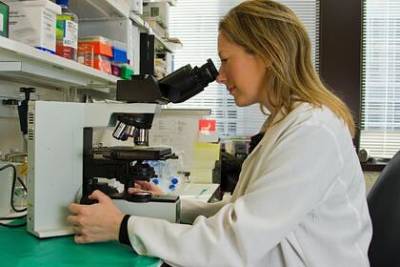 Биологи опровергли воздействие коронавируса на ДНК человека - lenta.ru - Франция - Англия - Австралия - Испания