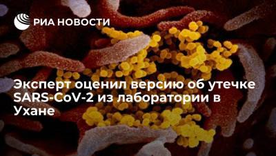 Елизавета Исакова - Дидье Питт - Эксперт заявил об отсутствии свидетельств об утечке SARS-CoV-2 из лаборатории в Ухане - ria.ru - Китай - Ухань - Женева