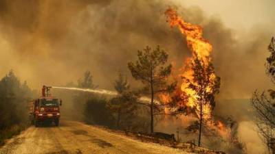 Причина серьёзных лесных пожаров в Турции до сих пор не установлена - argumenti.ru - Россия - Турция - Украина