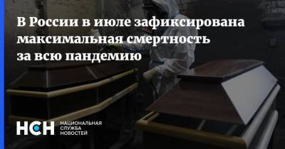 В России в июле зафиксирована максимальная смертность за всю пандемию - nsn.fm - Россия