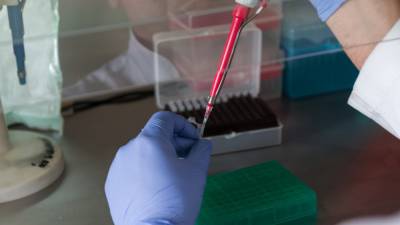 Ученые Ульяновска представили тест-систему, выявляющую одновременно коронавирус и грипп - inforeactor.ru - Ульяновск